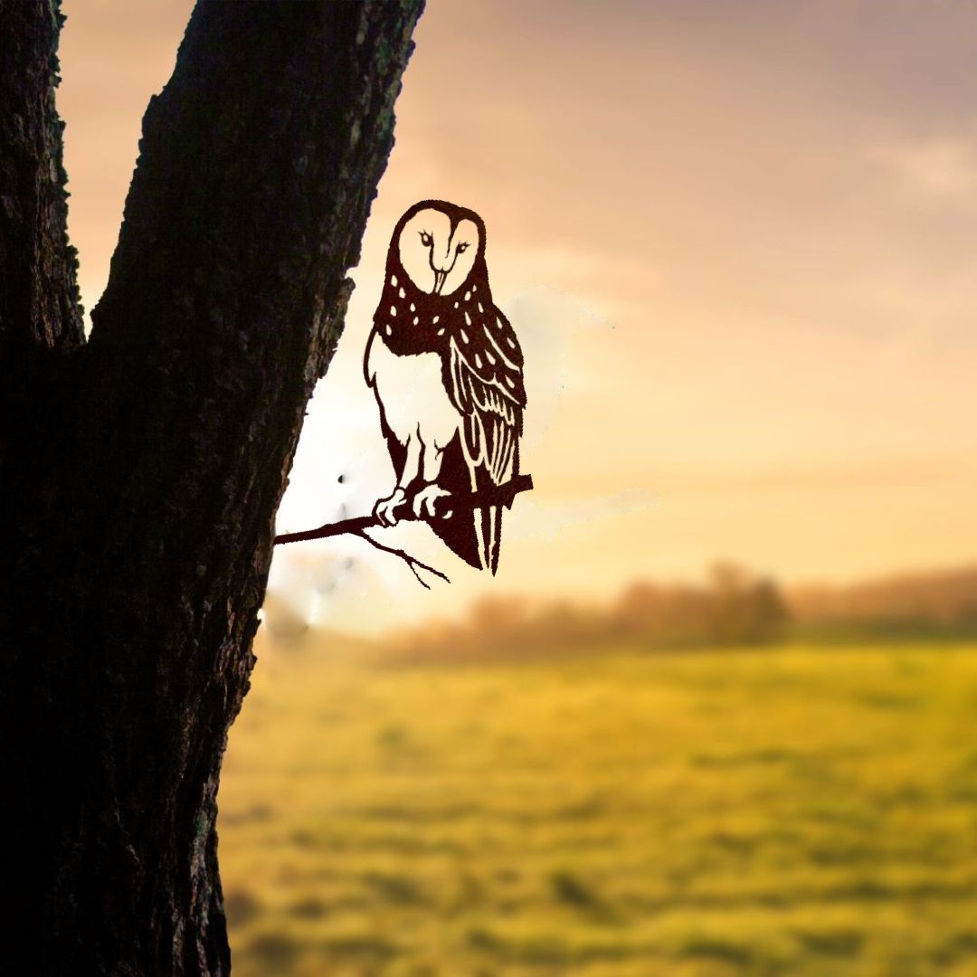 Vogelsilhouette Schleiereule