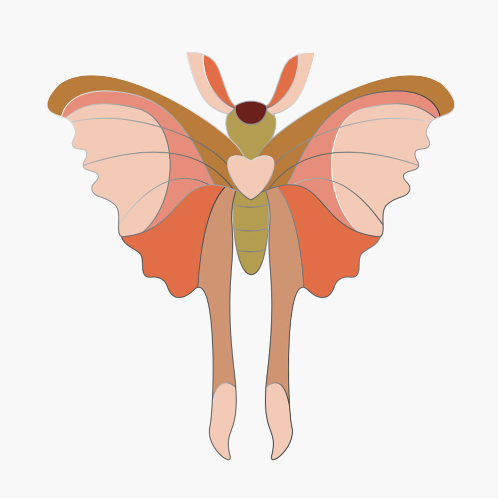 Pin Comet Butterfly