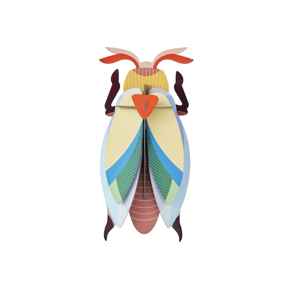 Beetle Medium - Verschiedene Varianten