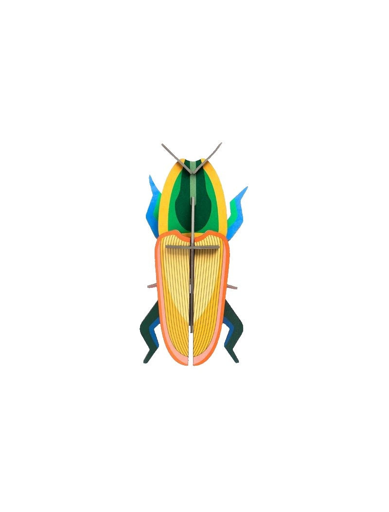 Käfer klein – verschiedene Varianten