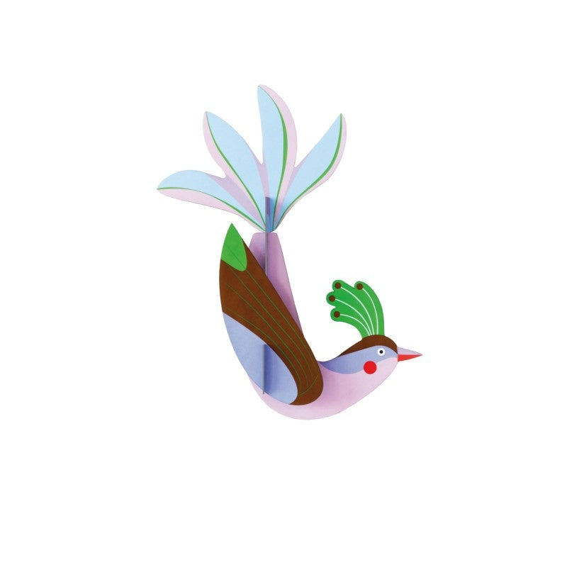 Paradiesvogel - Verschiedene Varianten