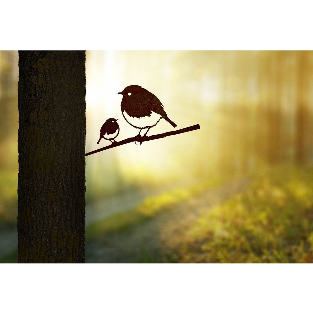 Vogelsilhouet Roodborstje en Jong