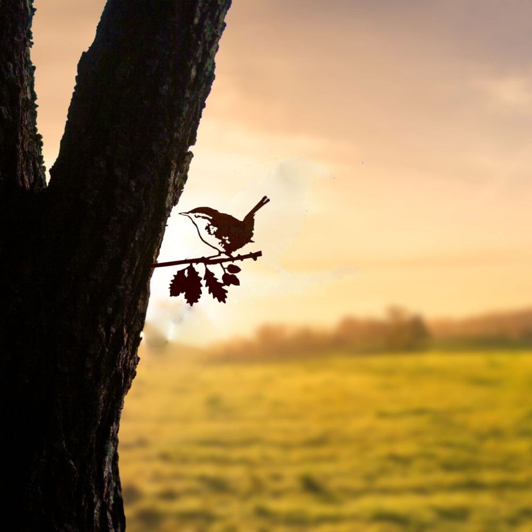 Vogelsilhouette Winterzaunkönig