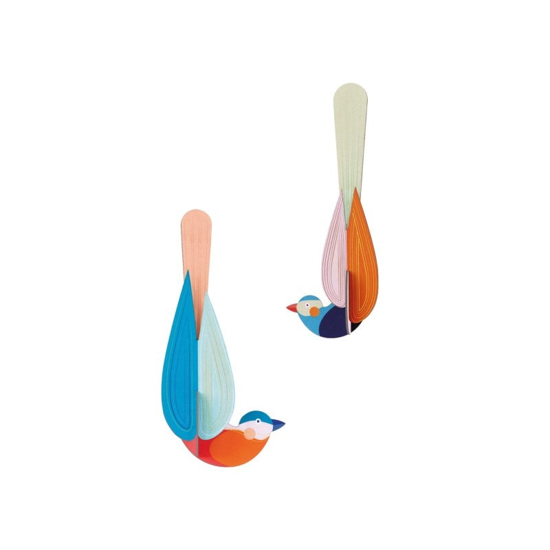 Paradiesvogel - Verschiedene Varianten