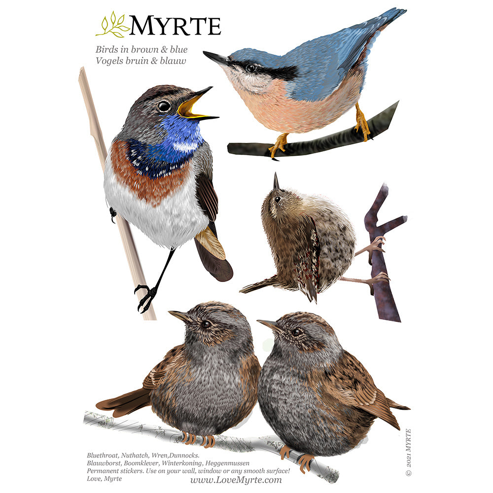 Wall sticker Birds - Various Variants