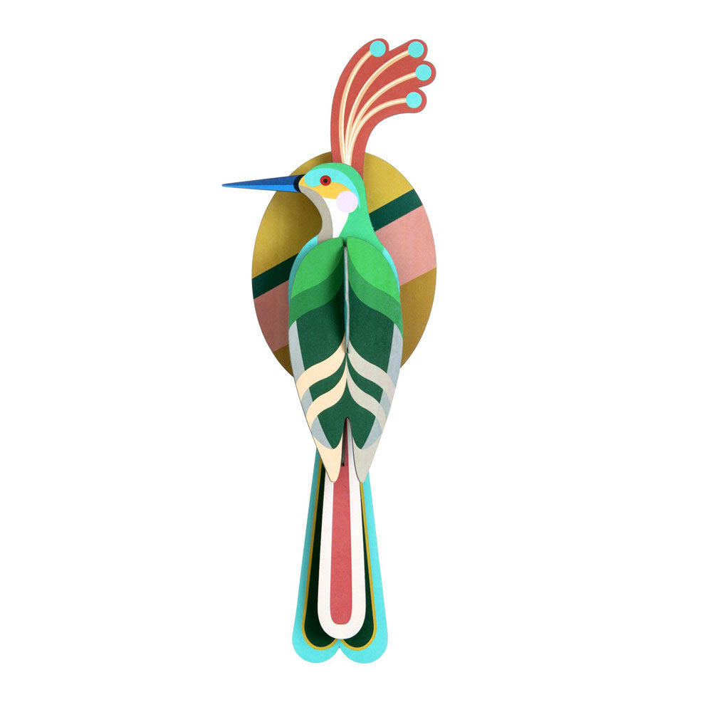 Paradiesvogel - Verschiedene Varianten