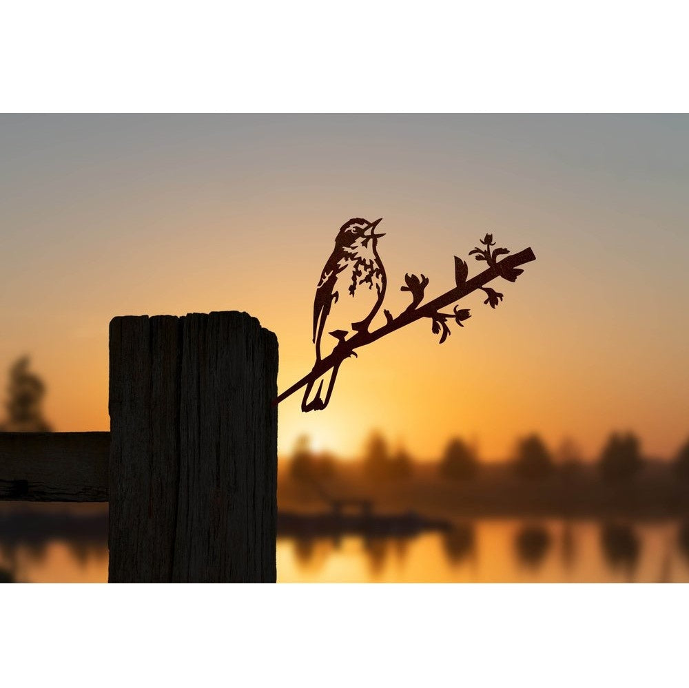 Vogelsilhouette Baumpieper