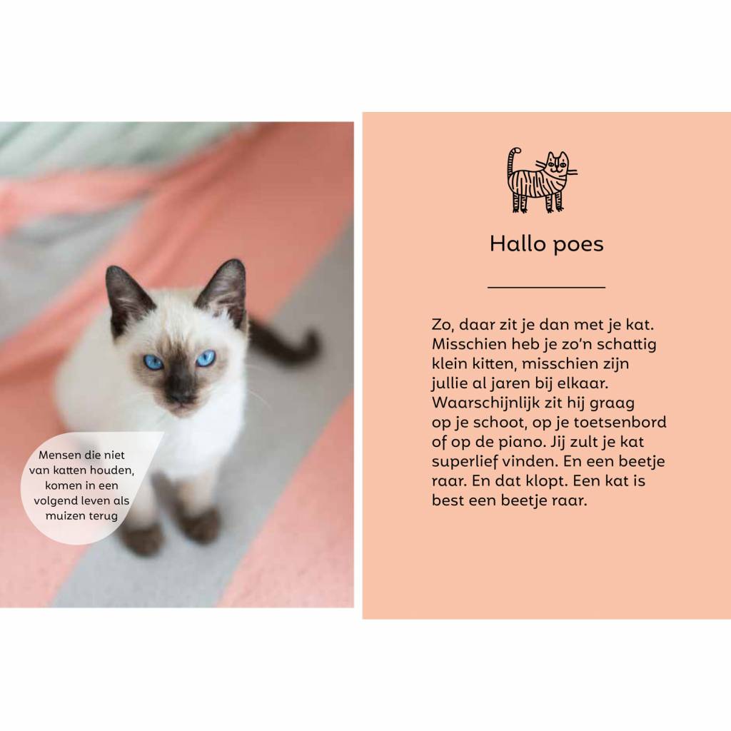 Cats Manual for Bosses