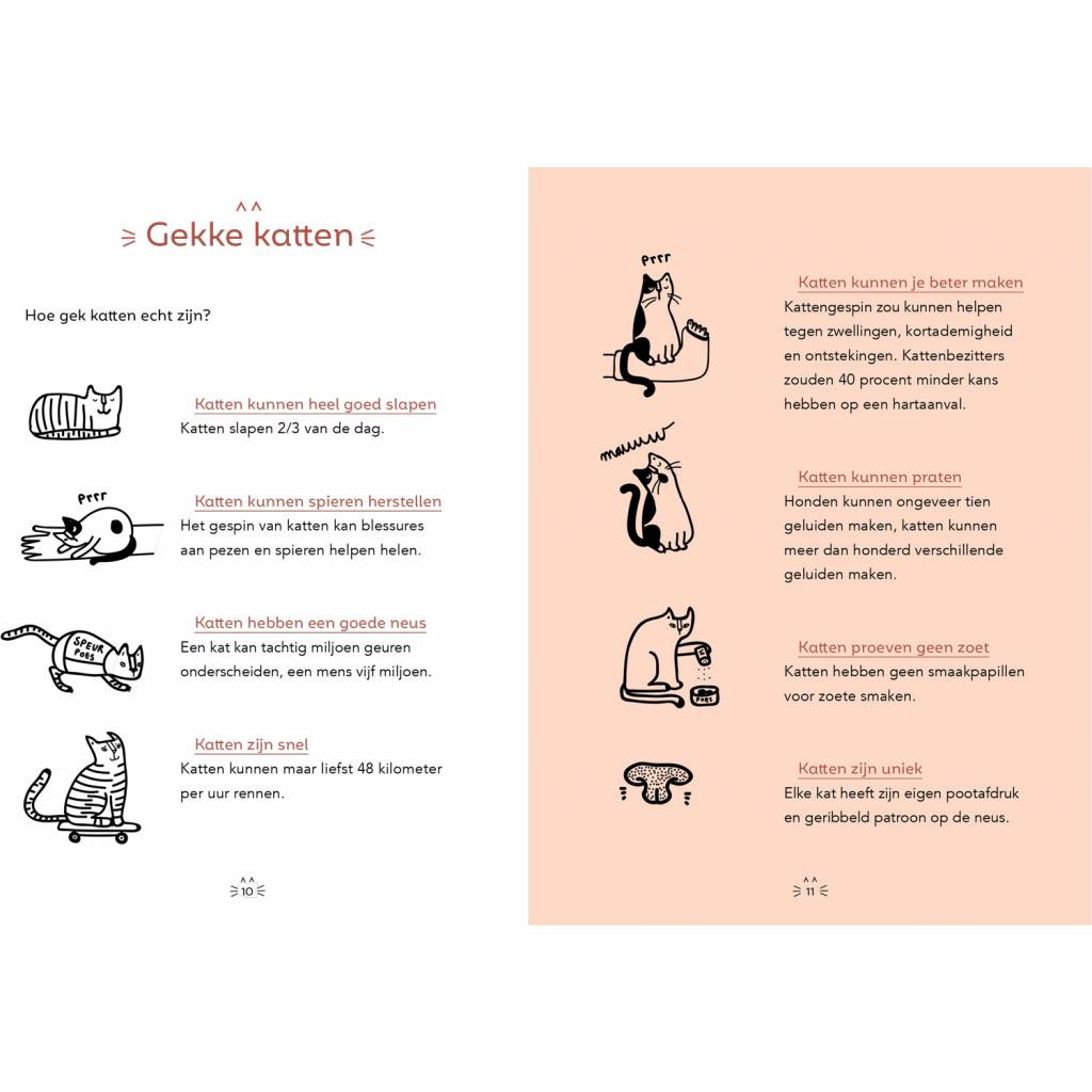 Cats Manual for Bosses