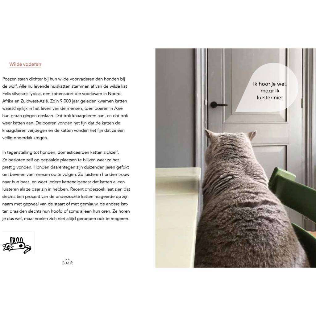 Cats Manual for Bosses