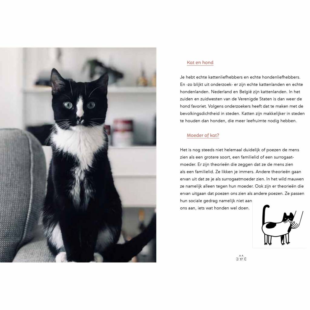 Cats Manual for Bosses