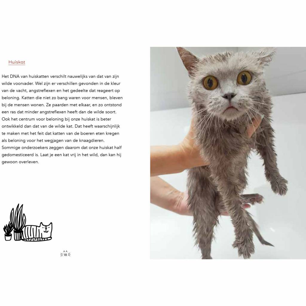 Cats Manual for Bosses