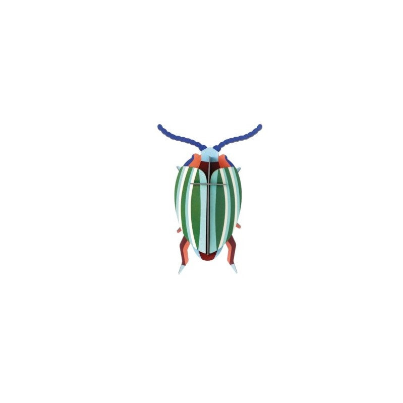Käfer klein – verschiedene Varianten
