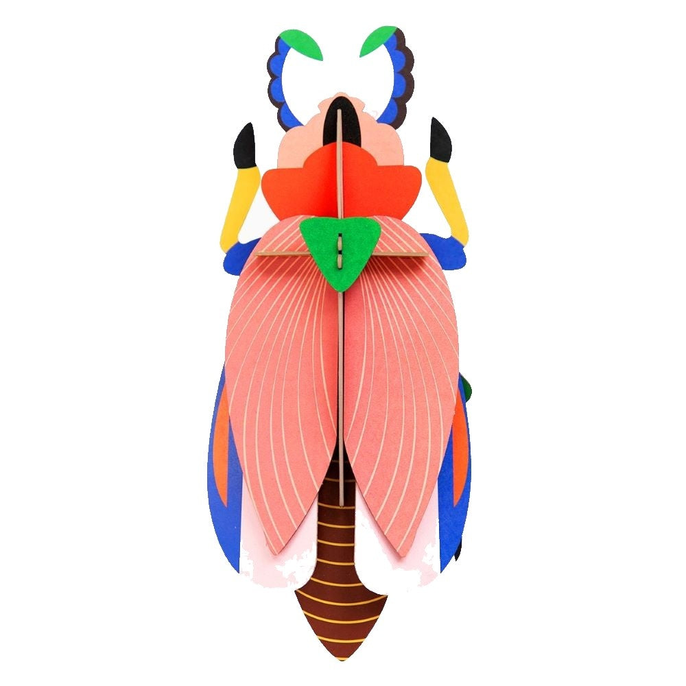 Beetle Medium - Verschiedene Varianten