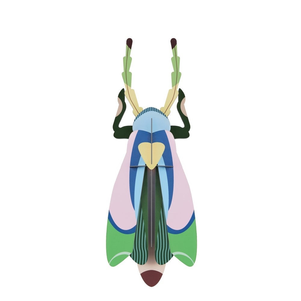Beetle Medium - Verschiedene Varianten