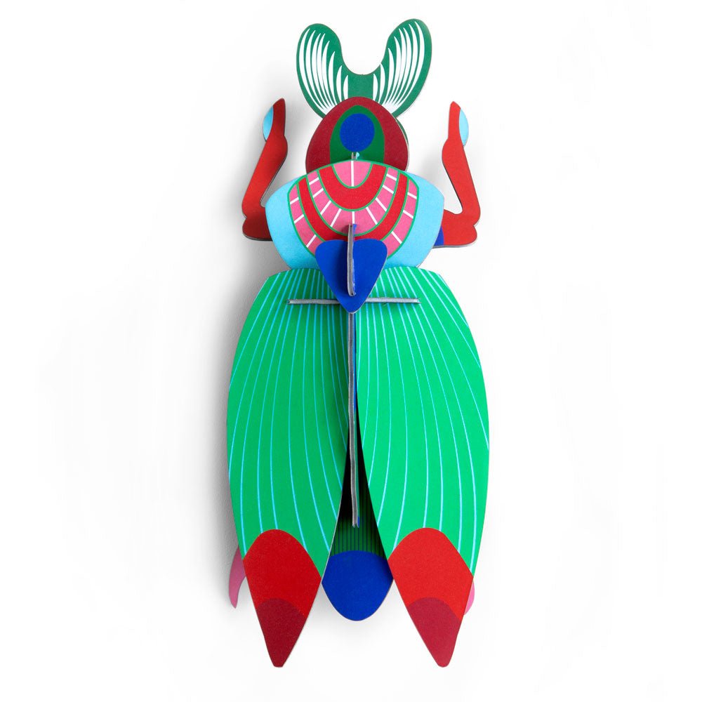 Beetle Medium - Verschiedene Varianten