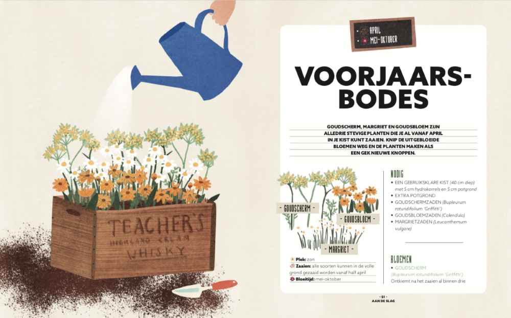 Garten pflücken