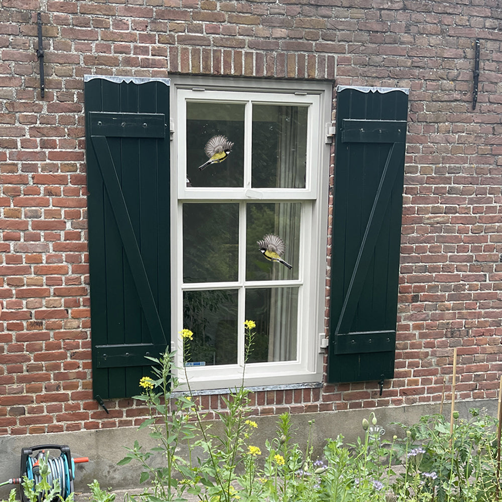 Doppelseitiger Fensteraufkleber - Verschiedene Varianten
