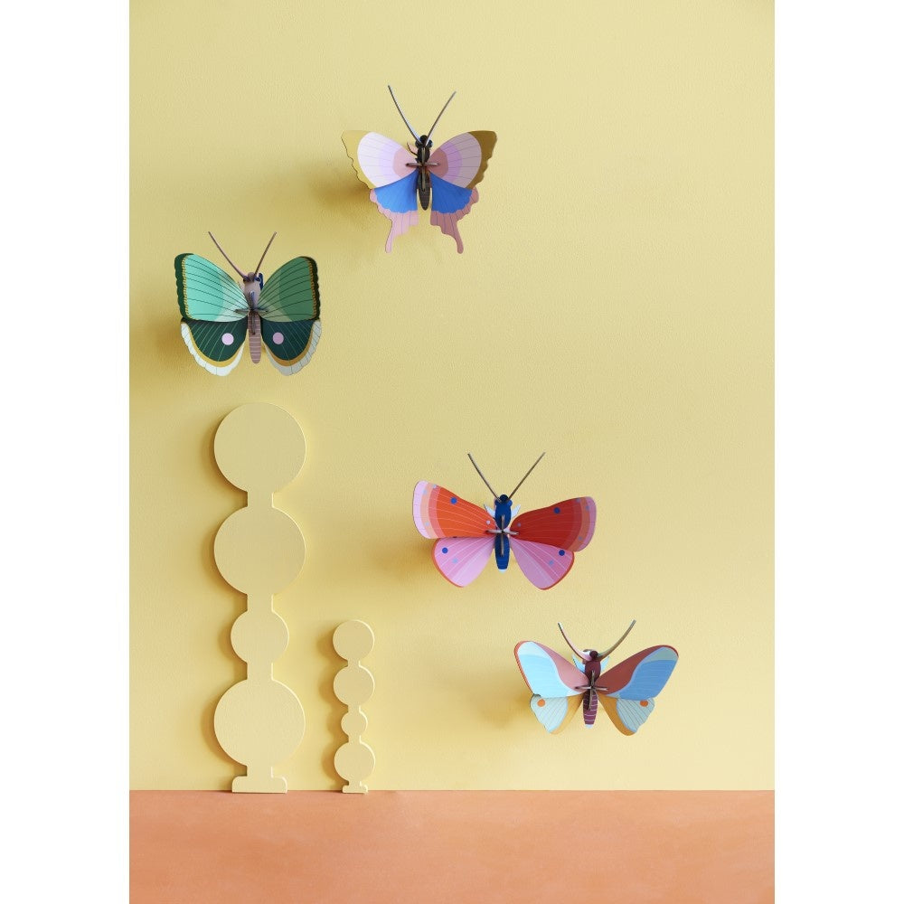 Schmetterling klein - Verschiedene Varianten