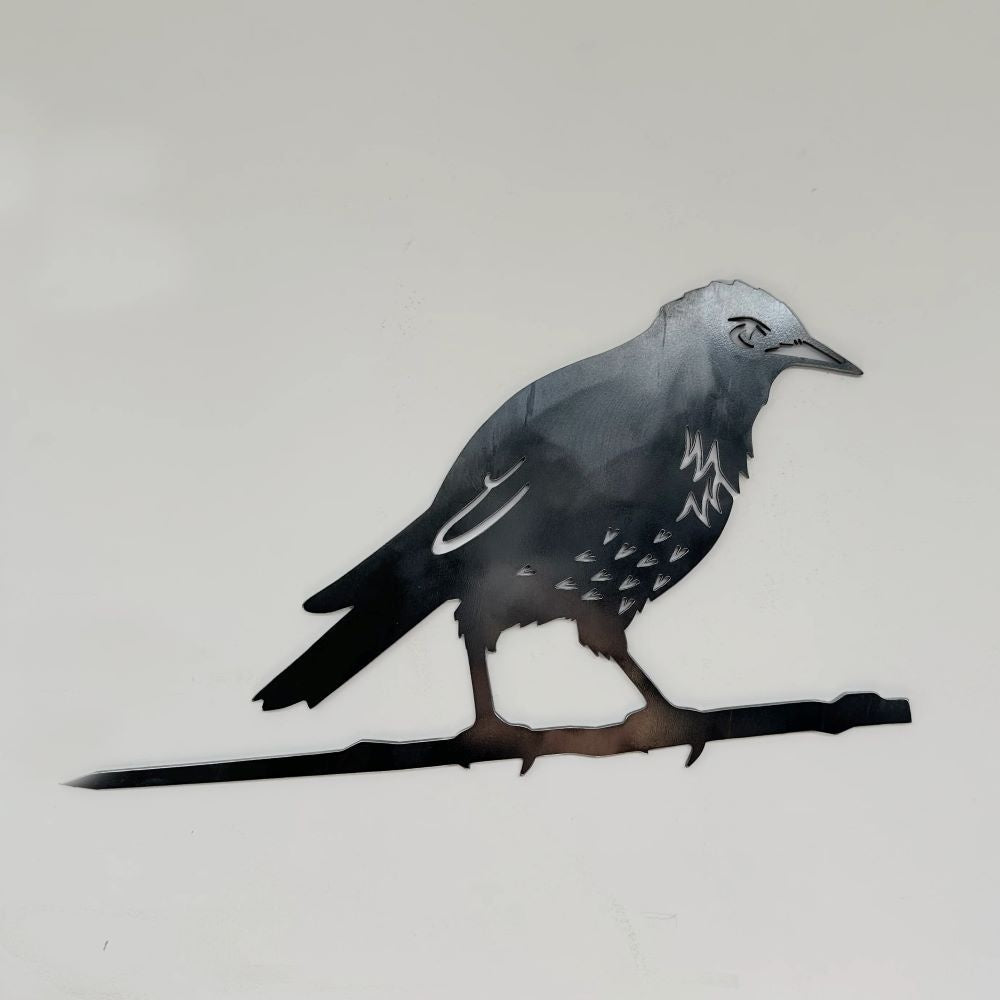 Vogelsilhouette Star