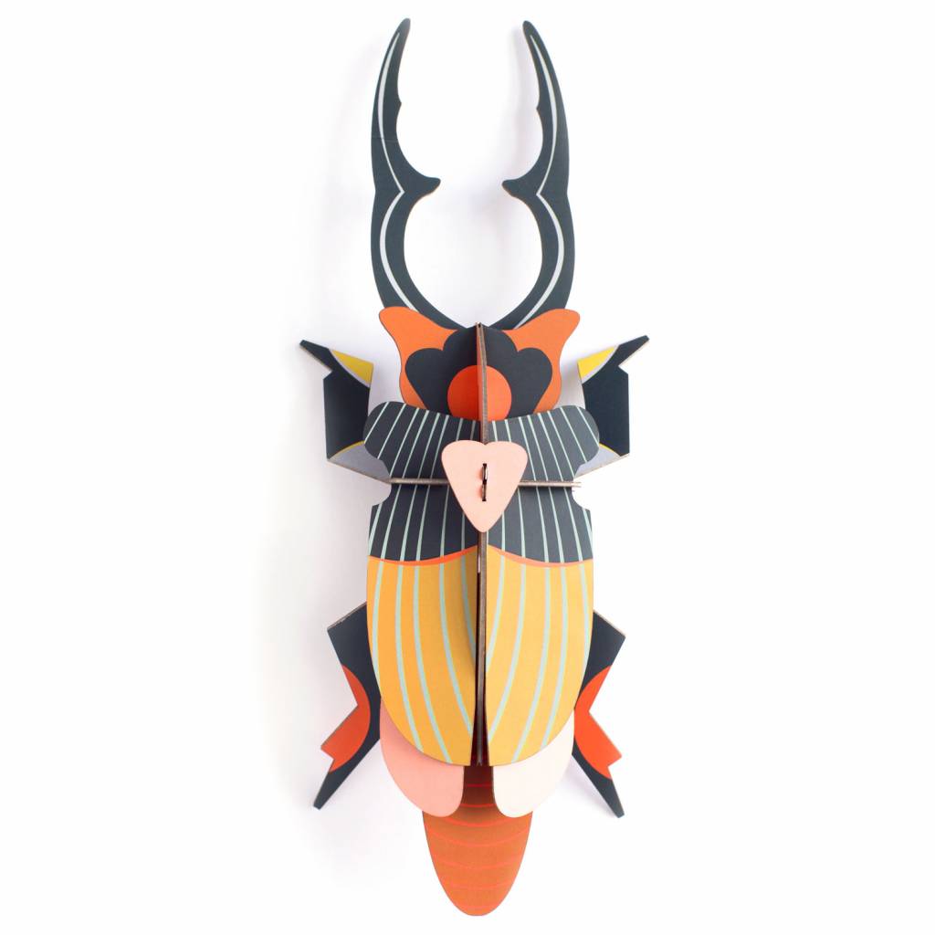 Beetle Medium - Verschiedene Varianten