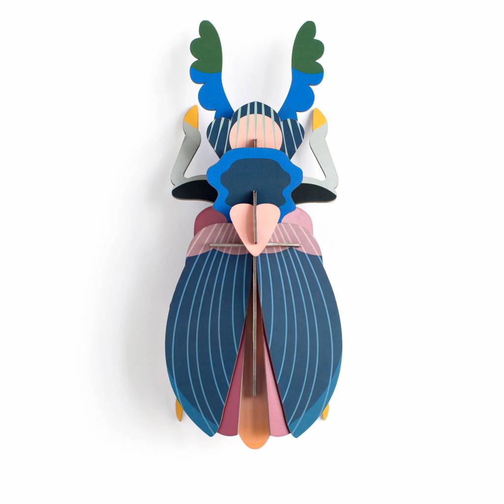 Beetle Medium - Verschiedene Varianten