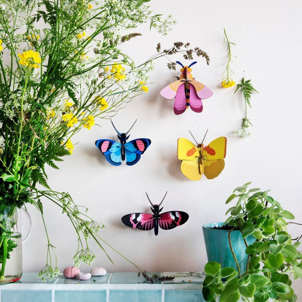 Schmetterling klein - Verschiedene Varianten