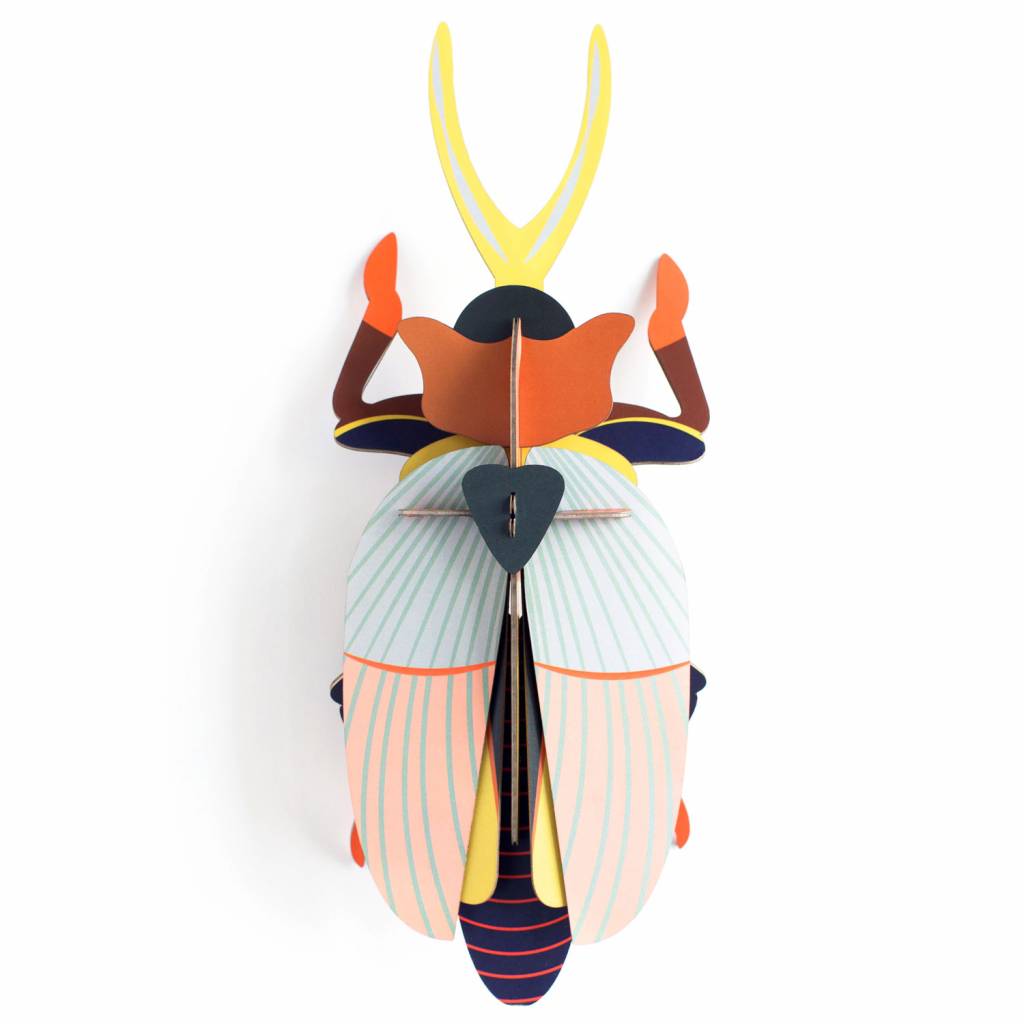 Beetle Medium - Verschiedene Varianten
