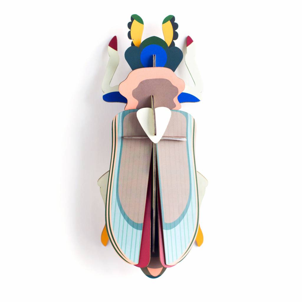 Beetle Medium - Verschiedene Varianten