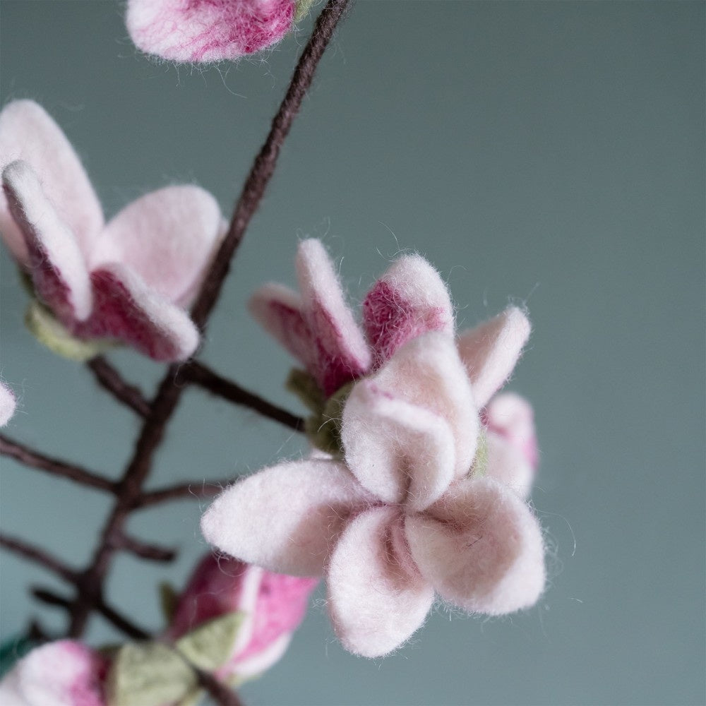 Vilten Tak Magnolia