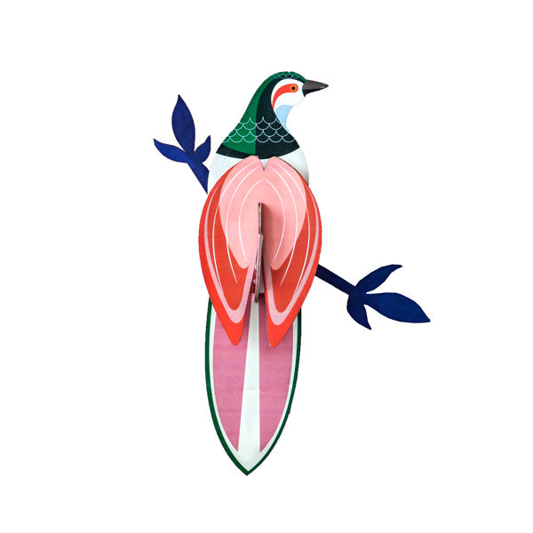 Paradiesvogel - Verschiedene Varianten