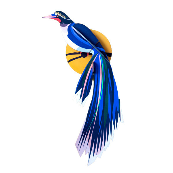 Paradiesvogel - Verschiedene Varianten