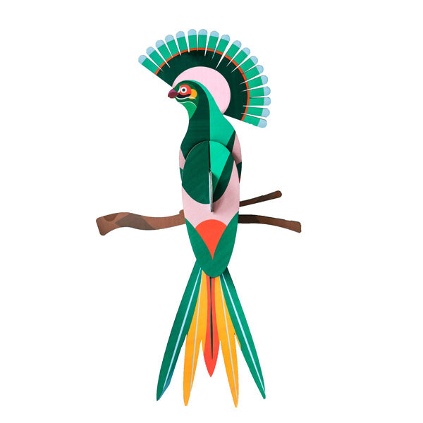Paradiesvogel - Verschiedene Varianten