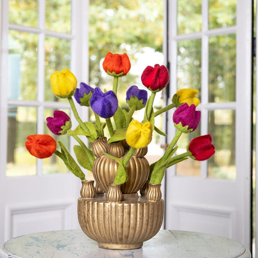 Tulp Wolvilt - Diverse Multicolors