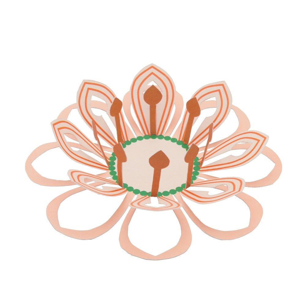 Zauberblume - Verschiedene Varianten