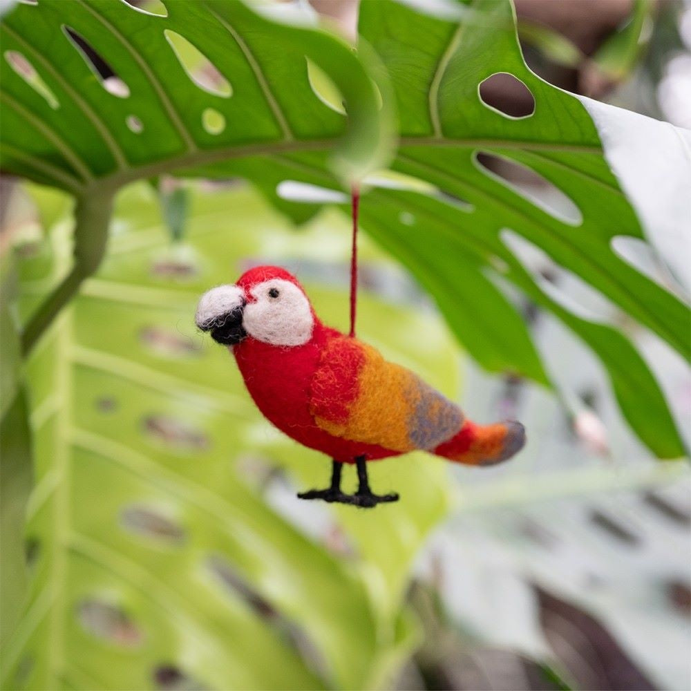 Felt Bird Tropical: Various Types