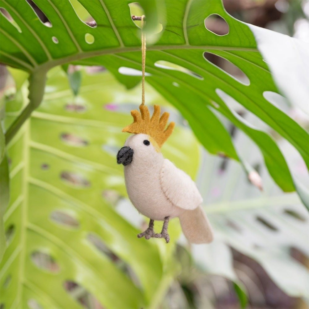 Felt Bird Tropical: Various Types