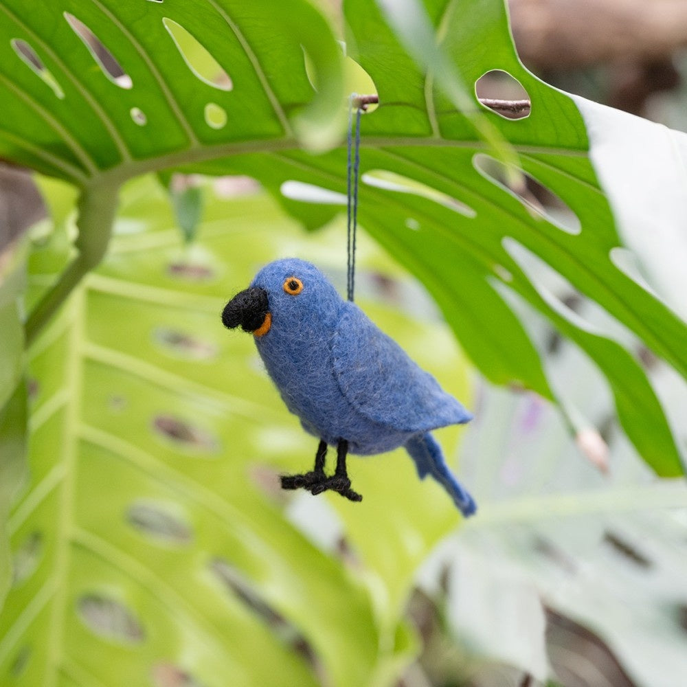 Felt Bird Tropical: Various Types