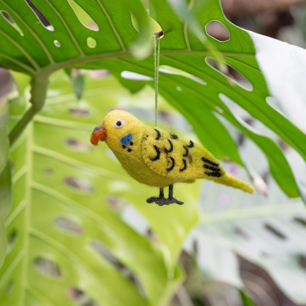 Felt Bird Tropical: Various Types
