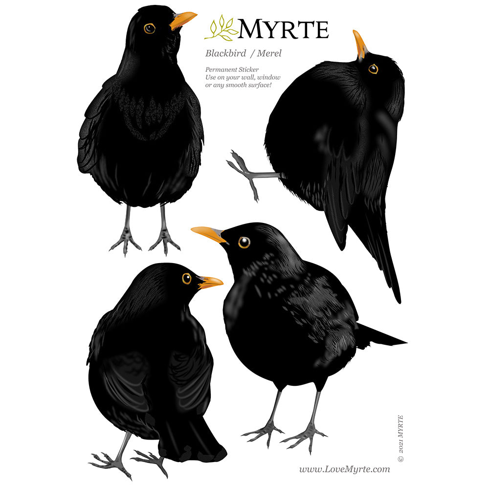 Wall sticker Birds - Various Variants