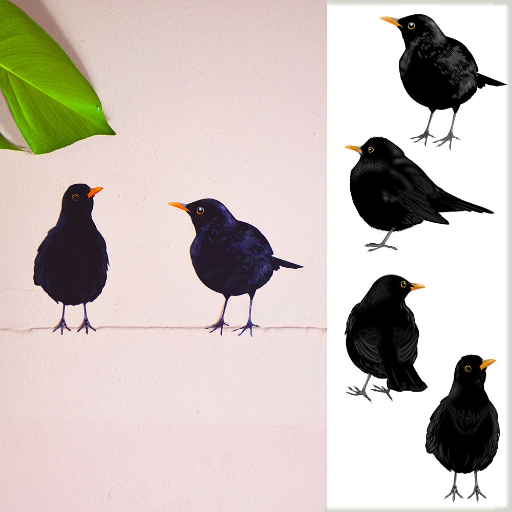 Wall sticker Birds - Various Variants