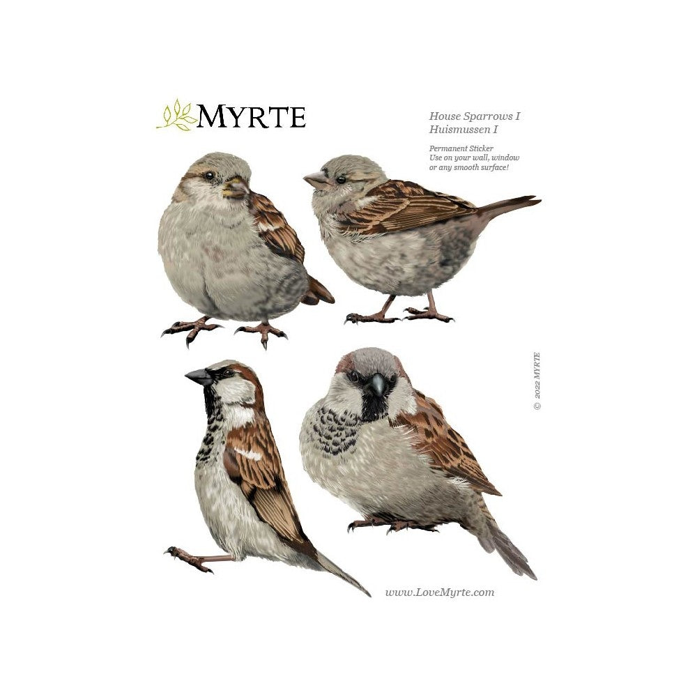 Wall sticker Birds - Various Variants