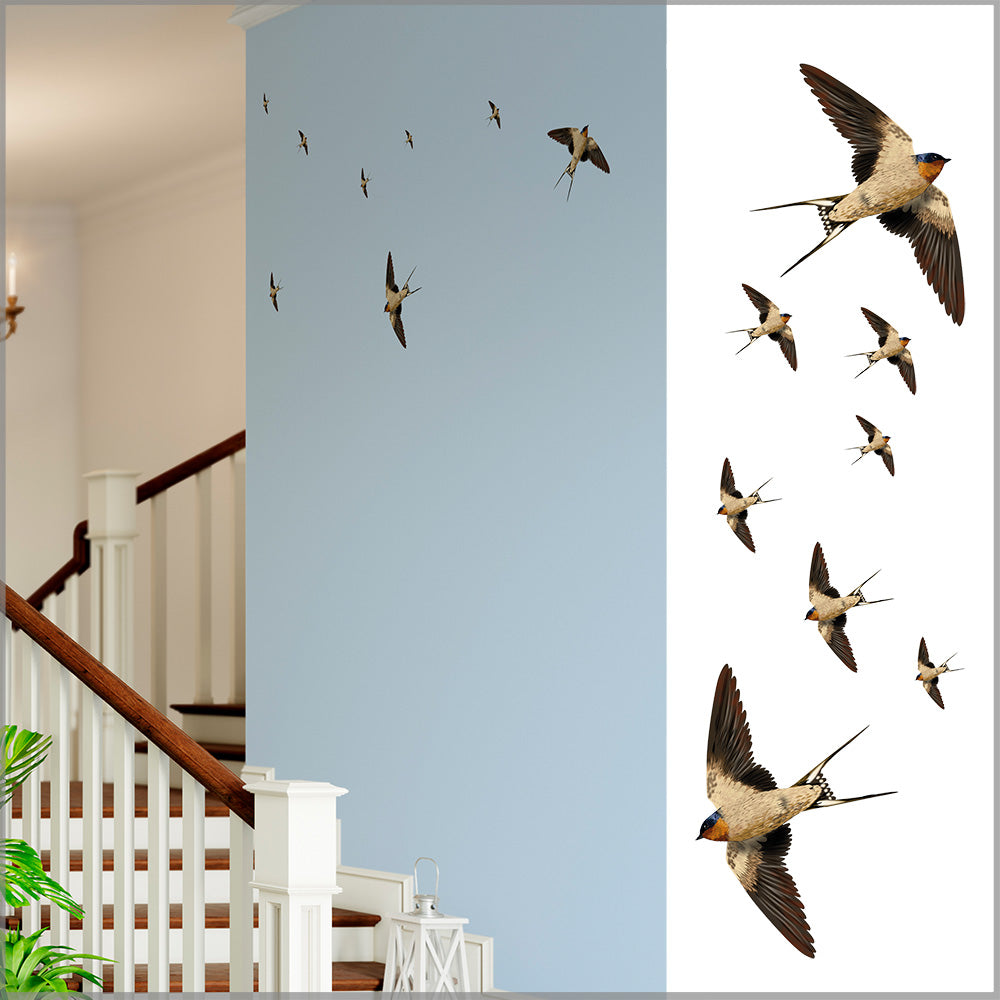 Wall sticker Birds - Various Variants