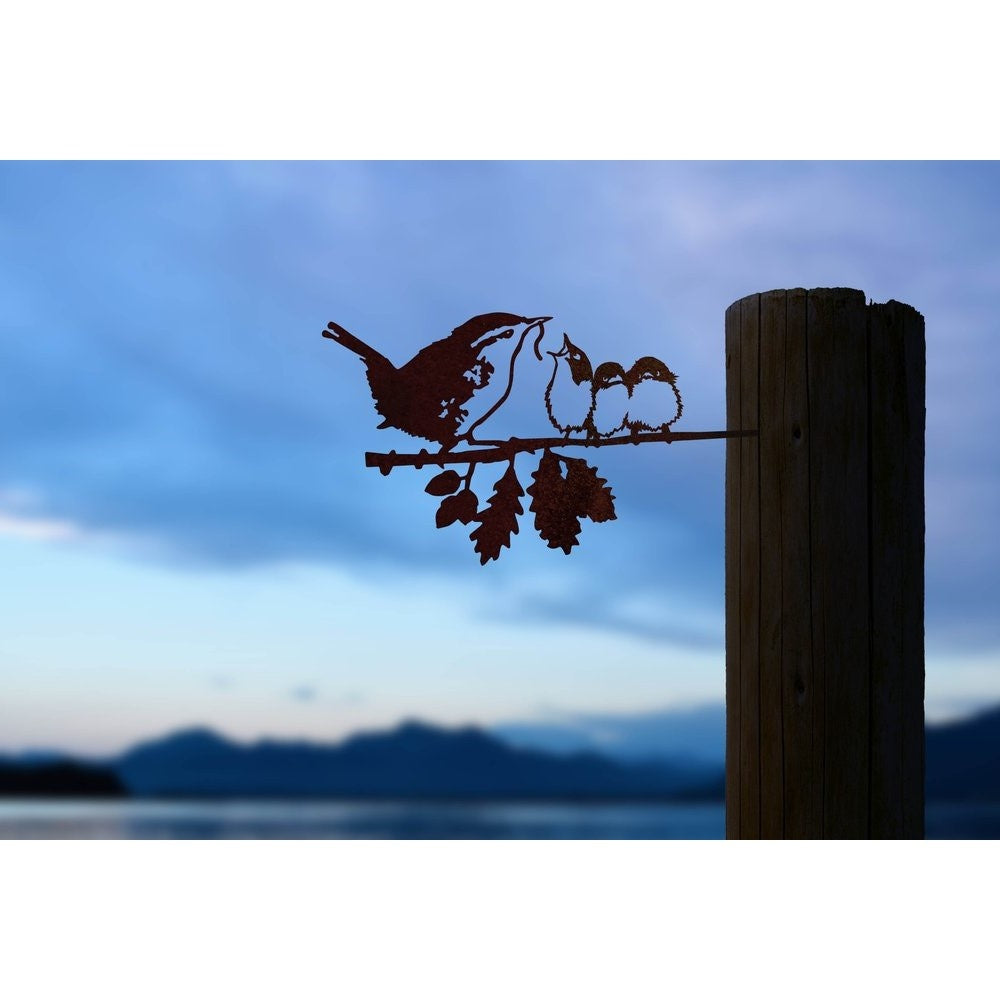 Vogelsilhouette Zaunkönig mit Jungen