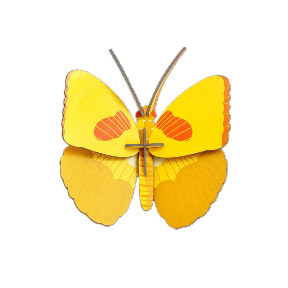 Schmetterling klein - Verschiedene Varianten
