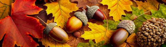 🍁 Herfstdecoratie voor in huis: Warmte, vilt en sfeer!