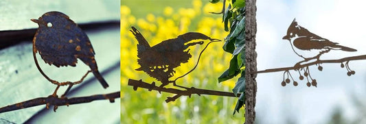 Veelgestelde vragen over de MetalBirds