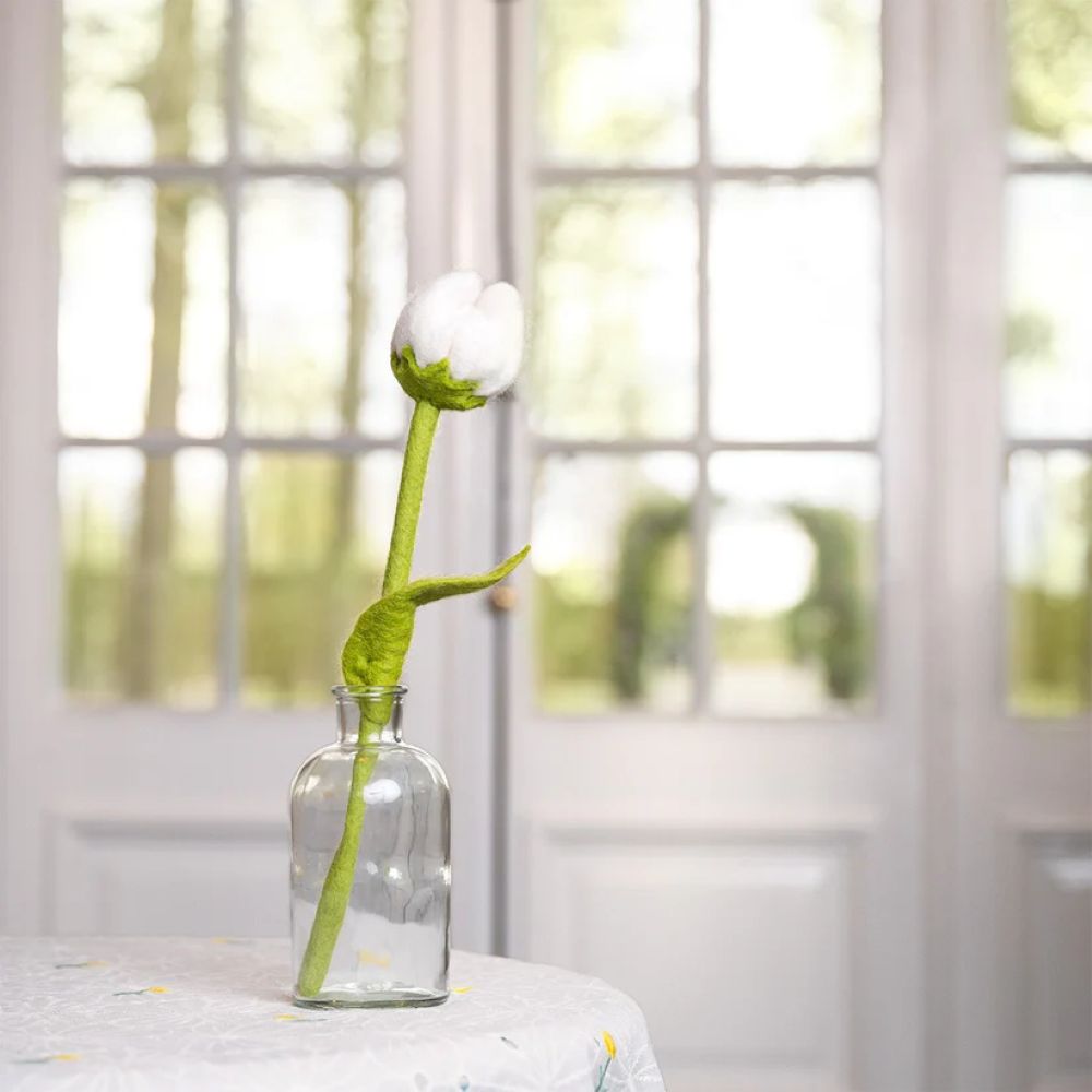 Tulp Wolvilt - Diverse Multicolors