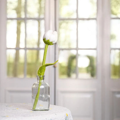 Tulp Wolvilt - Diverse Multicolors