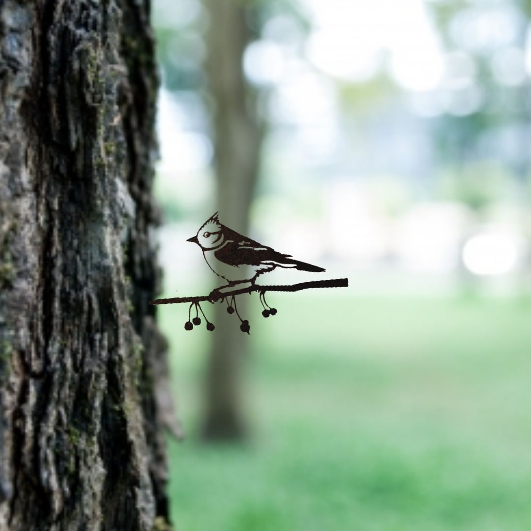 Vogelsilhouet Kuifmees